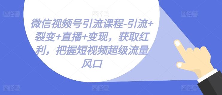 微信视频号引流课程-引流+裂变+直播+变现，获取红利，把握短视频超级流量风口-虫2小屋