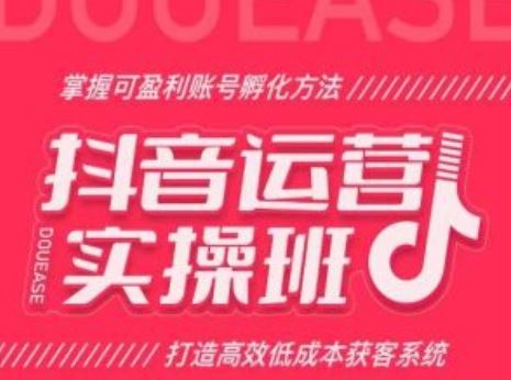 抖音运营实操班，掌握可盈利账号孵化方法，打造高效低成本获客系统-虫2小屋