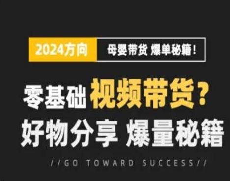 短视频母婴赛道实操流量训练营，零基础视频带货，好物分享，爆量秘籍-虫2小屋