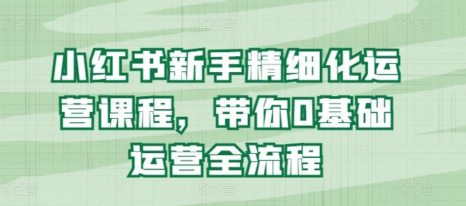 小红书新手精细化运营课程，带你0基础运营全流程-虫2小屋