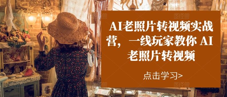 AI老照片转视频实战营，一线玩家教你AI老照片转视频-虫2小屋