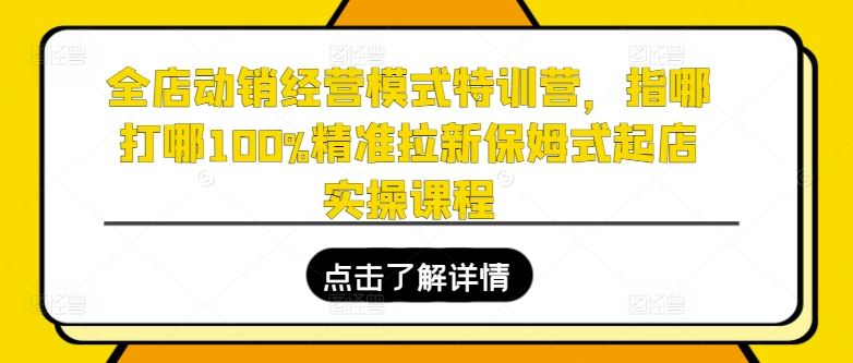 全店动销经营模式特训营，指哪打哪100%精准拉新保姆式起店实操课程-虫2小屋