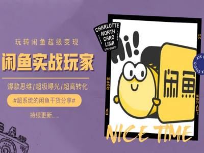 手把手教你0到1系统玩转闲鱼变现，爆款思维/超级曝光/超高转化-虫2小屋