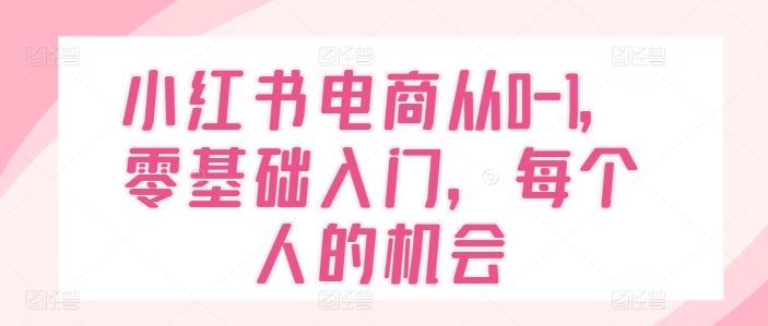 小红书电商从0-1，零基础入门，每个人的机会-虫2小屋