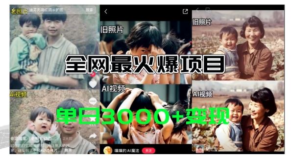全网爆火的AI让老照片动起来教程，蹭热点日赚3k+，内含免费工具一键可生成【揭秘】-虫2小屋