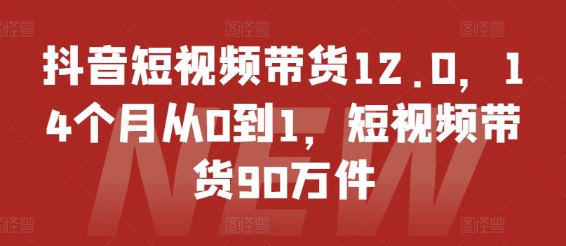 抖音短视频带货12.0，14个月从0到1，短视频带货90万件-虫2小屋
