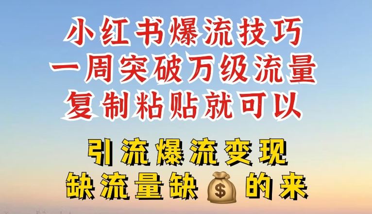 小红书爆流技巧，一周突破万级流量，复制粘贴就可以，引流爆流变现【揭秘】-虫2小屋