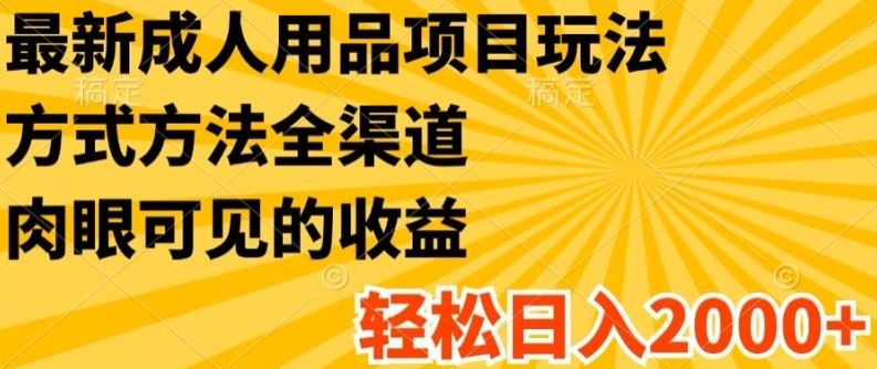 最新成人用品项目玩法，方式方法全渠道，轻松日入2K+【揭秘】-虫2小屋