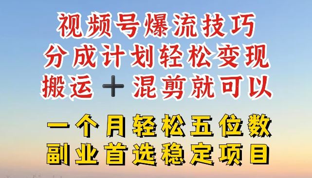 视频号爆流技巧，分成计划轻松变现，搬运 +混剪就可以，一个月轻松五位数稳定项目【揭秘】-虫2小屋