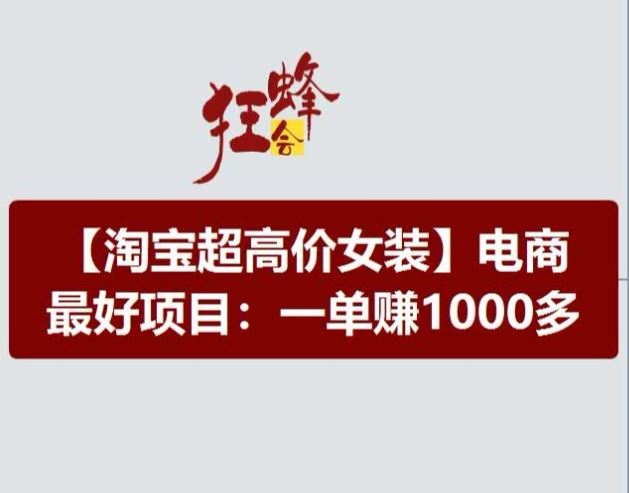 淘宝超高价女装项目，电商最好赛道，一单赚1000多-虫2小屋