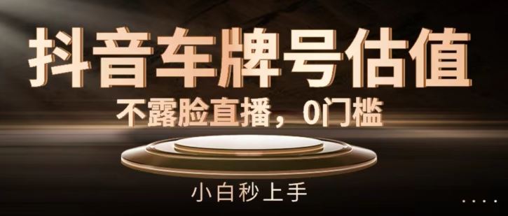 抖音车牌号估值，不露脸直播，0门槛，小白秒上手【揭秘】-虫2小屋