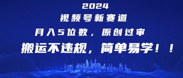 2024视频号新赛道，月入5位数+，原创过审，搬运不违规，简单易学【揭秘】-虫2小屋