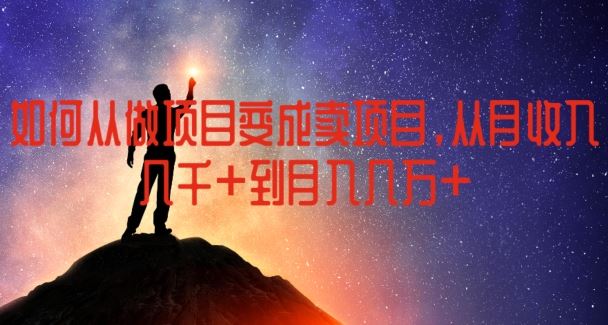 如何从做项目变成卖项目，从月收入几千到月入几万【揭秘】-虫2小屋
