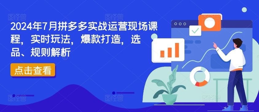 2024年7月拼多多实战运营现场课程，实时玩法，爆款打造，选品、规则解析-虫2小屋