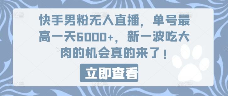 快手男粉无人直播，单号最高一天6000+，新一波吃大肉的机会真的来了-虫2小屋