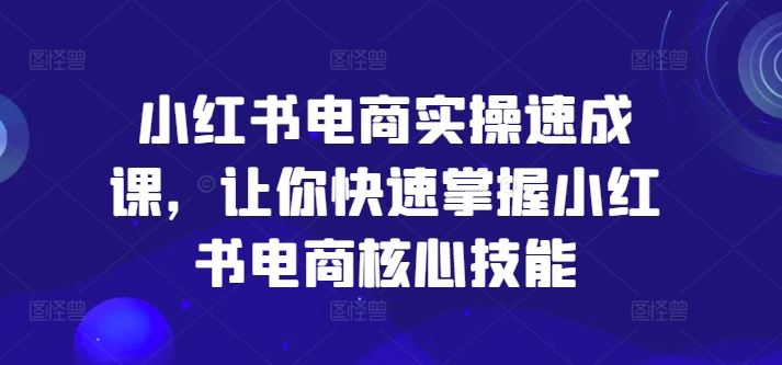 小红书电商实操速成课，让你快速掌握小红书电商核心技能-虫2小屋