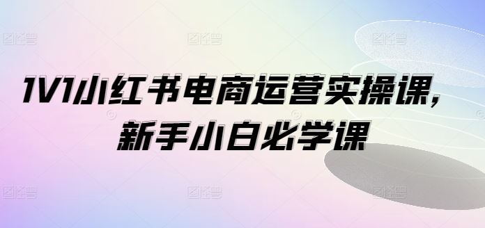 1V1小红书电商运营实操课，新手小白必学课-虫2小屋