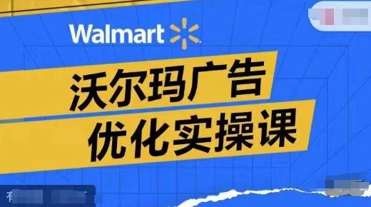 沃尔玛广告优化实操课，广告报告实操讲解，广告如何提高转化和ROAS等-虫2小屋