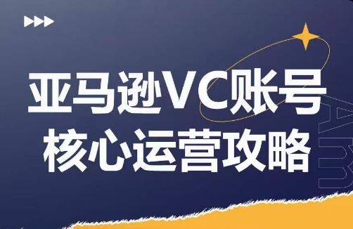 亚马逊VC账号核心玩法解析，实战经验拆解产品模块运营技巧，提升店铺GMV，有效提升运营利润-虫2小屋