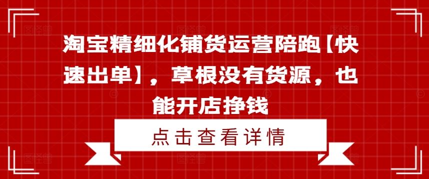 淘宝精细化铺货运营陪跑【快速出单】，草根没有货源，也能开店挣钱-虫2站点