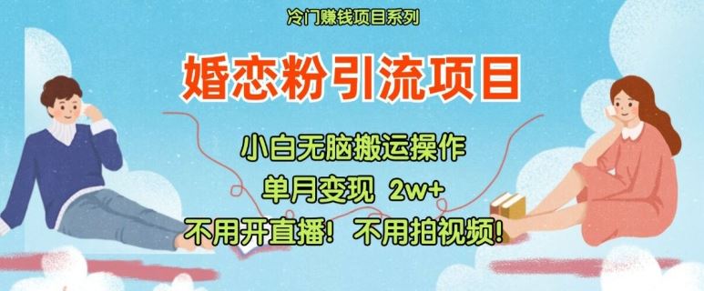 小红书婚恋粉引流，不用开直播，不用拍视频，不用做交付【揭秘】-虫2站点