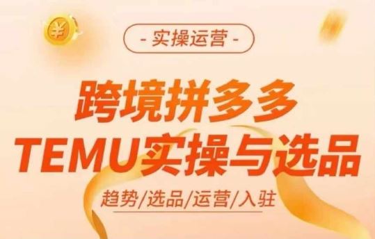 跨境拼多多TEMU实操与选品，多多temu跨境选品运营实操-虫2站点