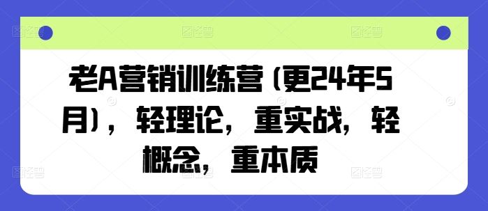 老A营销训练营(更24年7月)，轻理论，重实战，轻概念，重本质-虫2站点