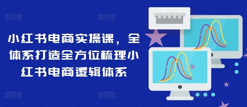 小红书电商实操课，全体系打造全方位梳理小红书电商逻辑体系-虫2小屋
