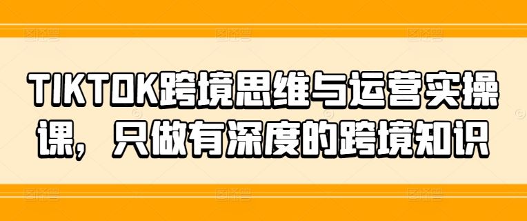 TIKTOK跨境思维与运营实操课，只做有深度的跨境知识-虫2小屋