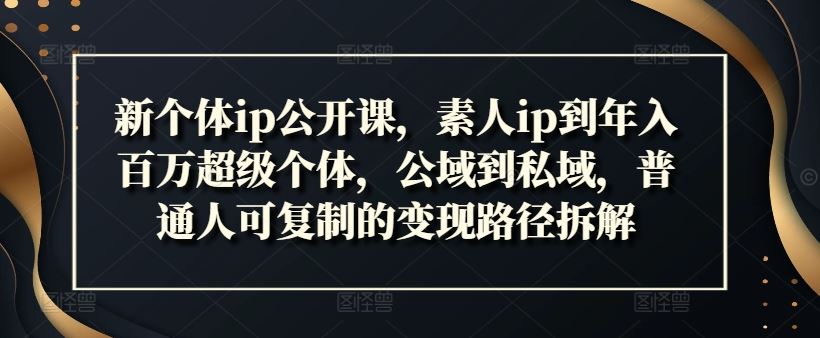 新个体ip公开课，素人ip到年入百万超级个体，公域到私域，普通人可复制的变现路径拆解-虫2小屋