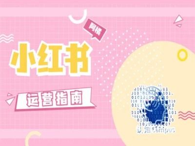 小红书运营指南，没有套路，全是经验-虫2小屋
