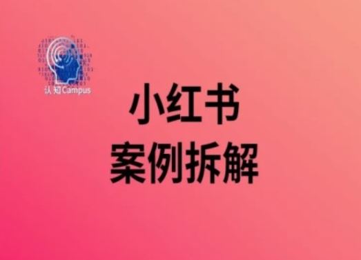 小红书案例拆解，深度解读小红书40万粉-虫2小屋