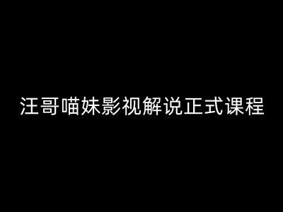 汪哥影视解说正式课程：剪映/PR教学/视解说剪辑5大黄金法则/全流程剪辑7把利器等等-虫2小屋