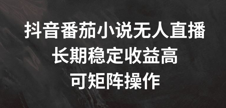 抖音番茄小说无人直播，长期稳定收益高，可矩阵操作【揭秘】-虫2小屋