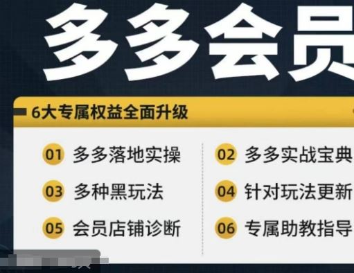 拼多多会员，拼多多实战宝典+实战落地实操，从新手到高阶内容全面覆盖-虫2小屋