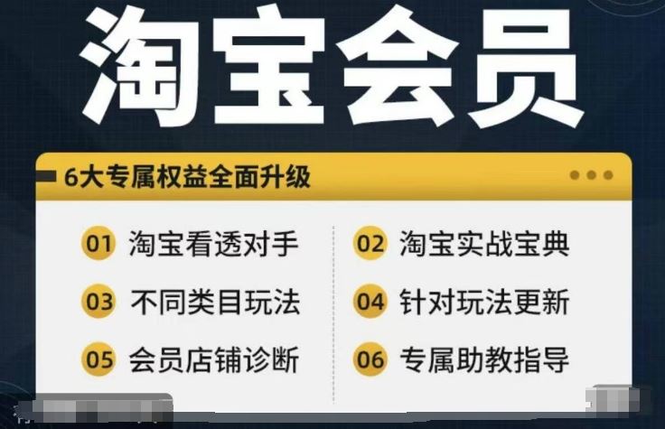 淘宝会员【淘宝所有课程，全面分析对手】，初级到高手全系实战宝典-虫2小屋