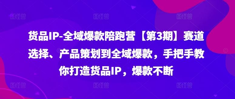 货品IP全域爆款陪跑营【第3期】赛道选择、产品策划到全域爆款，手把手教你打造货品IP，爆款不断-虫2小屋