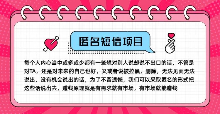 冷门小众赚钱项目，匿名短信，玩转信息差，月入五位数【揭秘】-虫2小屋