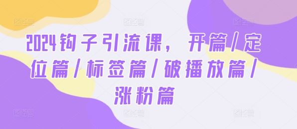 2024钩子引流课，开篇/定位篇/标签篇/破播放篇/涨粉篇-虫2小屋