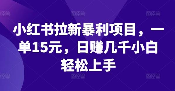 小红书拉新暴利项目，一单15元，日赚几千小白轻松上手【揭秘】-虫2小屋