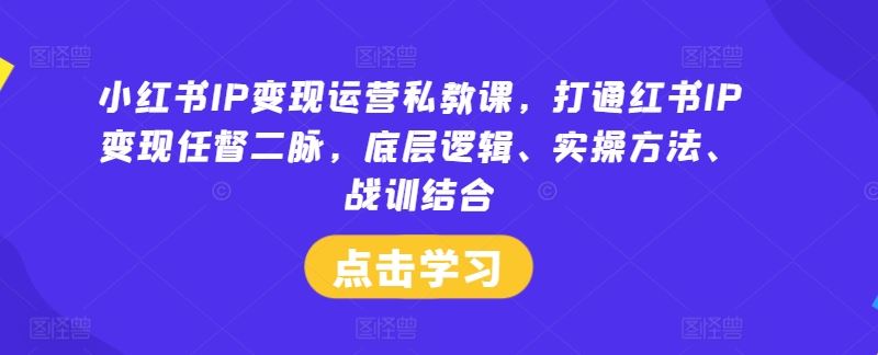 小红书IP变现运营私教课，打通红书IP变现任督二脉，底层逻辑、实操方法、战训结合-虫2小屋