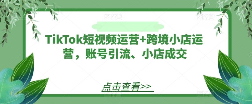 TikTok短视频运营+跨境小店运营，账号引流、小店成交-虫2小屋