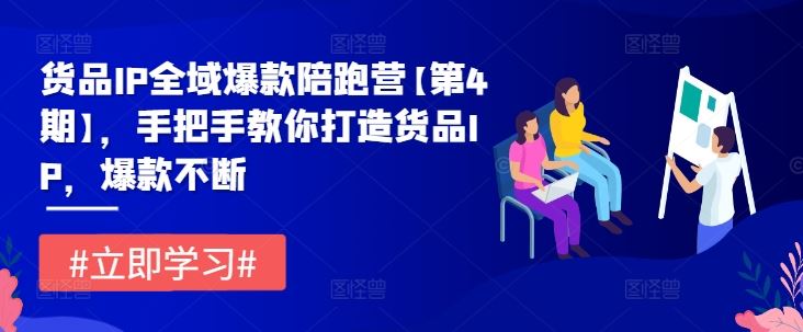 货品IP全域爆款陪跑营【第4期】，手把手教你打造货品IP，爆款不断-虫2小屋