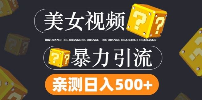 搬运tk美女视频全网分发，日引s粉300+，轻松变现，不限流量不封号【揭秘】-虫2小屋