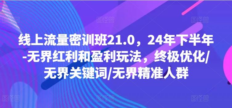 线上流量密训班21.0，24年下半年-无界红利和盈利玩法，终极优化/无界关键词/无界精准人群-虫2小屋