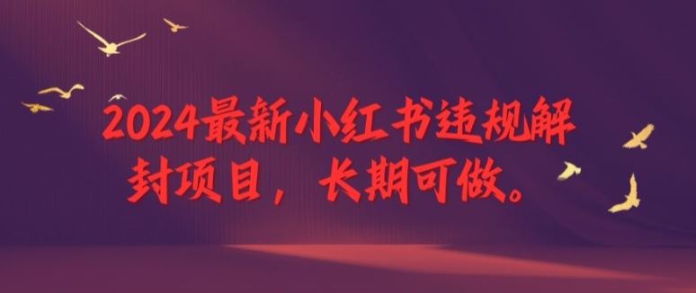 2024最新小红书违规解封项目，长期可做，一个可以做到退休的项目【揭秘】-虫2小屋