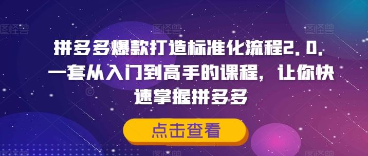拼多多爆款打造标准化流程2.0，一套从入门到高手的课程，让你快速掌握拼多多-虫2小屋