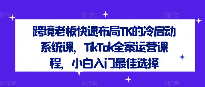 跨境老板快速布局TK的冷启动系统课，TikTok全案运营课程，小白入门最佳选择-虫2小屋