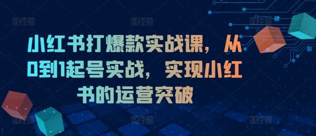小红书打爆款实战课，从0到1起号实战，实现小红书的运营突破-虫2小屋
