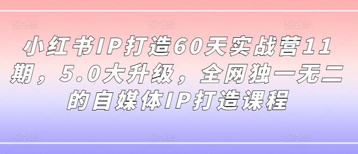 小红书IP打造60天实战营11期，5.0大升级，全网独一无二的自媒体IP打造课程-虫2小屋